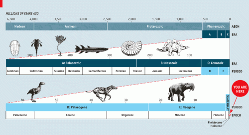 geologic time, cambrian, pre-cambrian